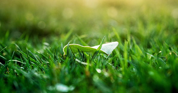 項目合作  /  合作動態(tài)